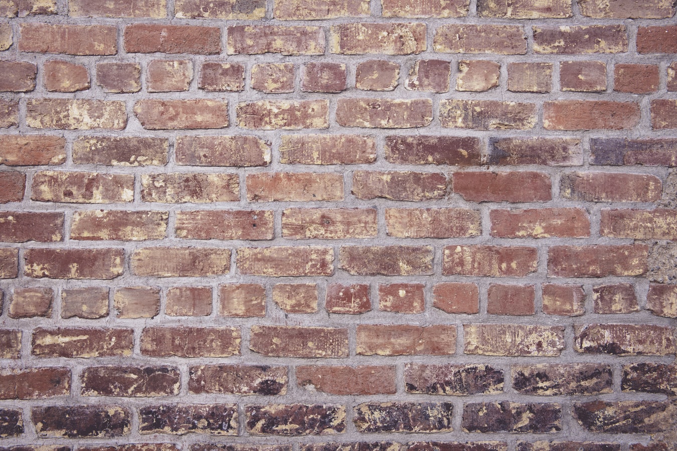 Brick wall.