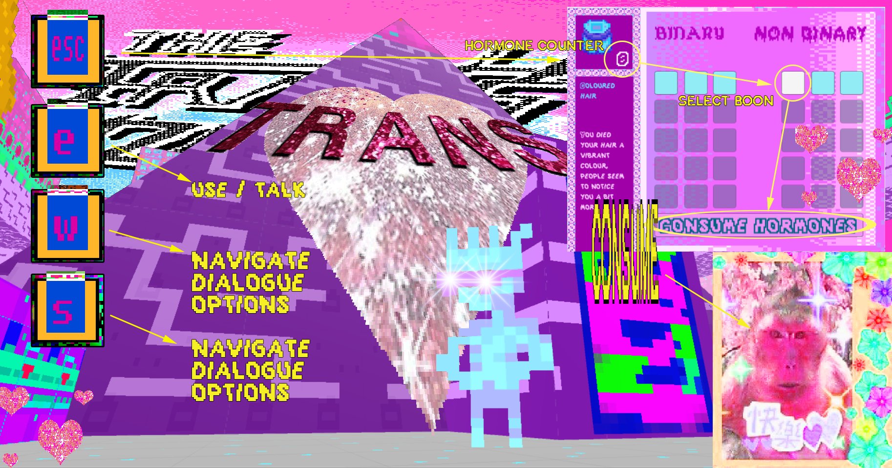 Crowded screen with faded pixelated person and a large heart with the word 'trans' above it. Boxes saying 'esc' and 'e' and 'w' and 's' with menu items next to them. A monkey face with sticker decorations around it in a frame. A grid with 'binary' and 'non binary' with small squares with arrows pointing to 'consume hormones'.